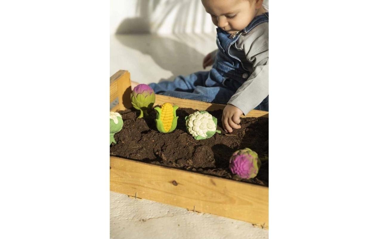 Rassel »Oli&Carol Cauliflower«