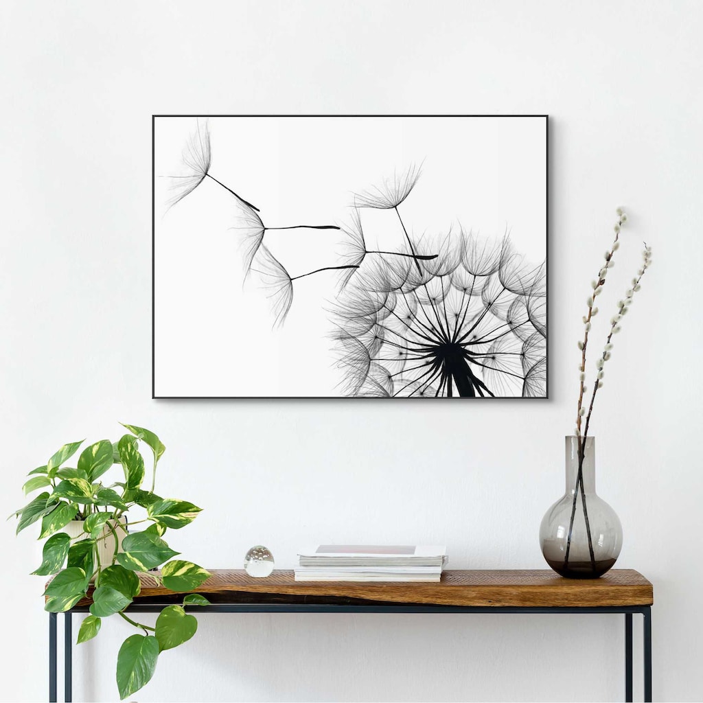 Reinders! Wandbild »Slim Frame Black 50x70 Dandelion«