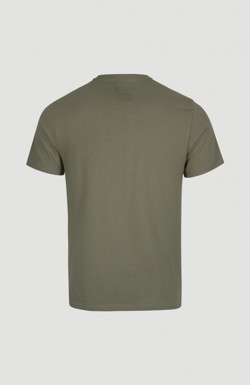 O'Neill T-Shirt »STATE CHEST ARTWORK T-SHIRT«