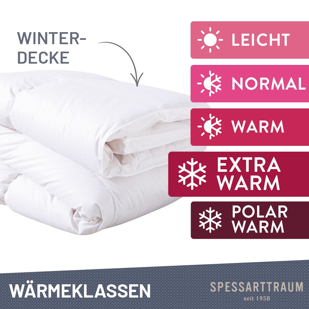 SPESSARTTRAUM Gänsedaunenbettdecke »Premium****, hergestellt in Deutschland«, Füllung 100% Gänsedaunen, Klasse 1, Downpass zertifiziert, Bezug 100% Baumwolle, nachhaltig (Made in Green), Hausstauballergiker geeignet, (1 St.)