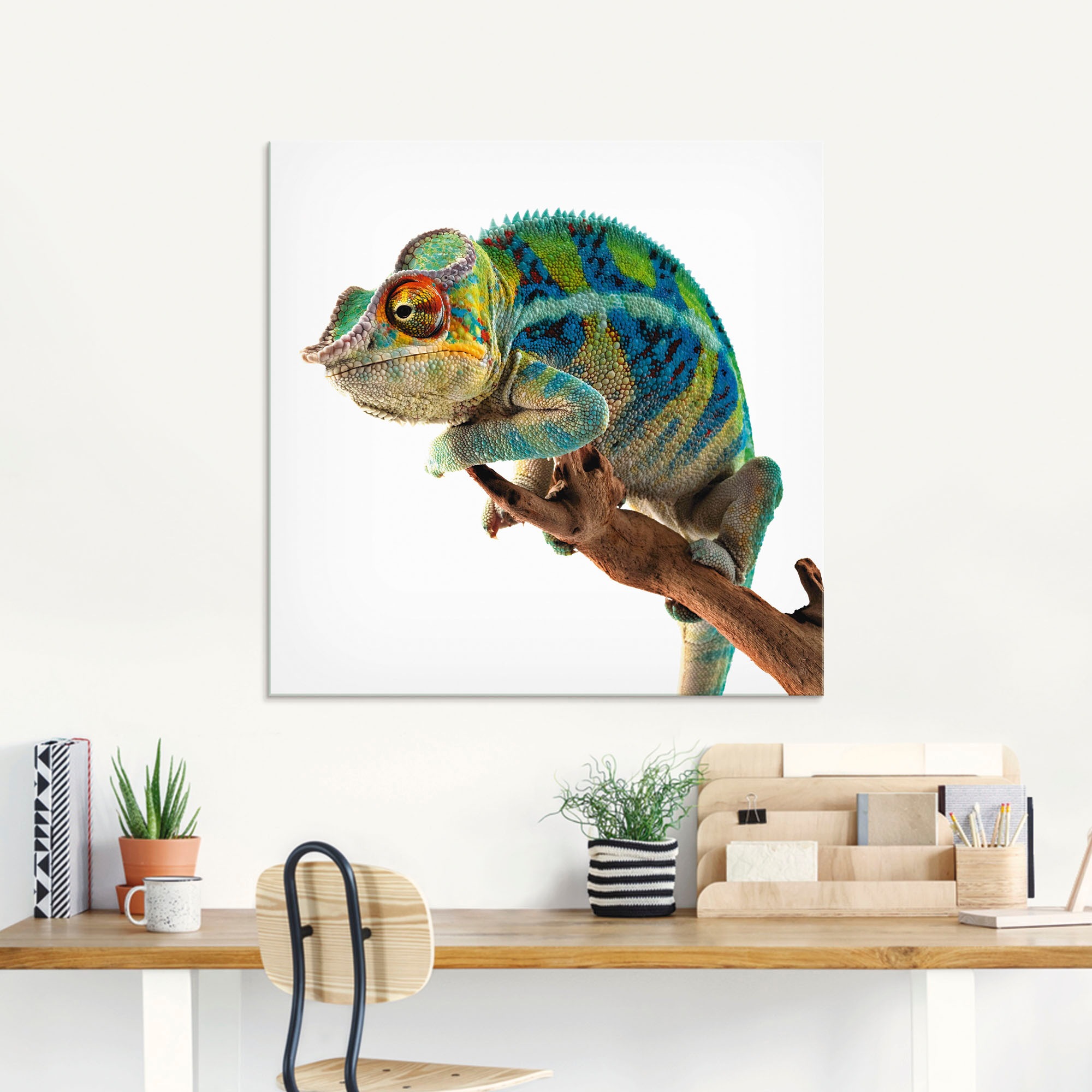 Artland Glasbild "Ambanja Panther Chamäleon" Reptilien 1 Stk. tlg. in verschiedenen Größen