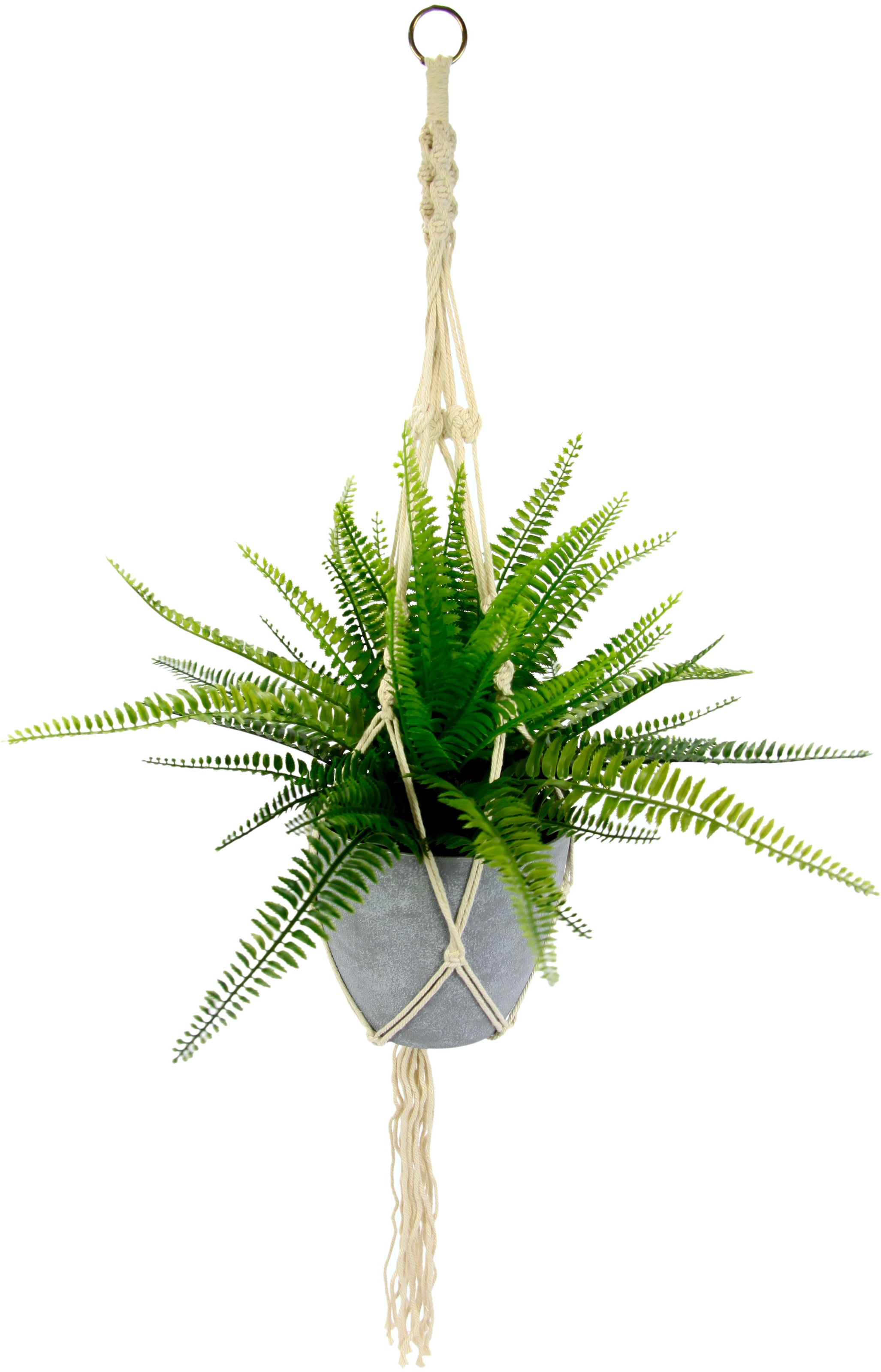 I.GE.A. Makramehängeampel Zimmerpflanze online »Farnbusch«, bestellen Künstliche mit | Kunststofftopf, Jelmoli-Versand im
