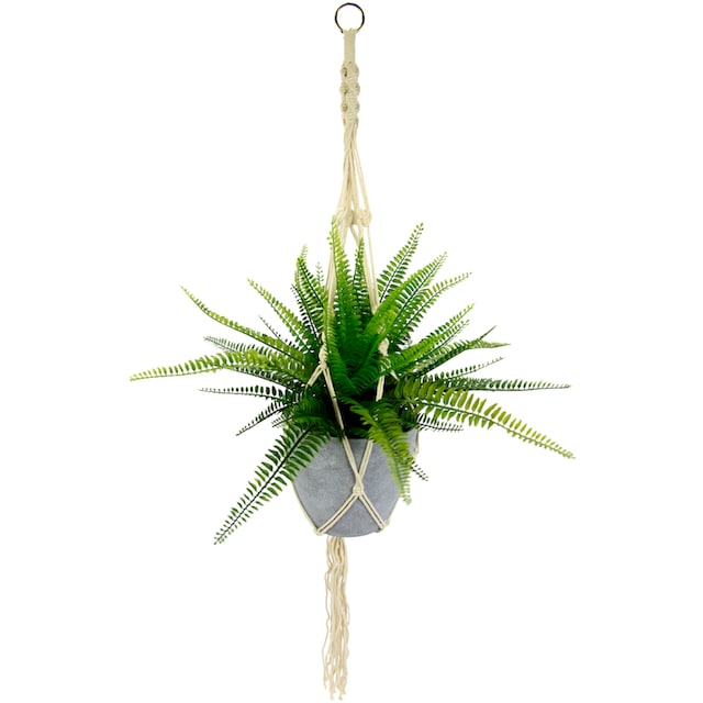 I.GE.A. Künstliche Zimmerpflanze »Farnbusch«, im Kunststofftopf, mit  Makramehängeampel online bestellen | Jelmoli-Versand