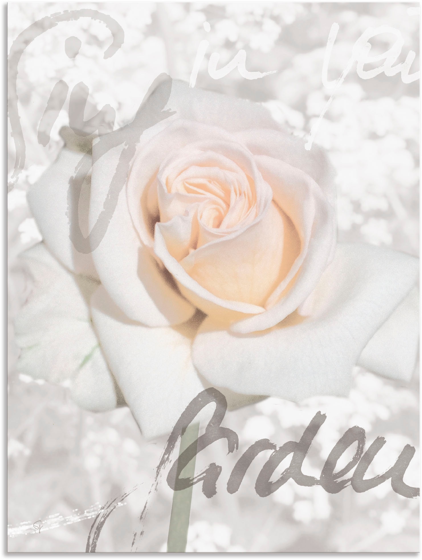 Artland Wandbild »In Lettern - Rose«, Blumen, (1 St.), als Alubild, Outdoorbild, Leinwandbild, Poster in verschied. Grössen