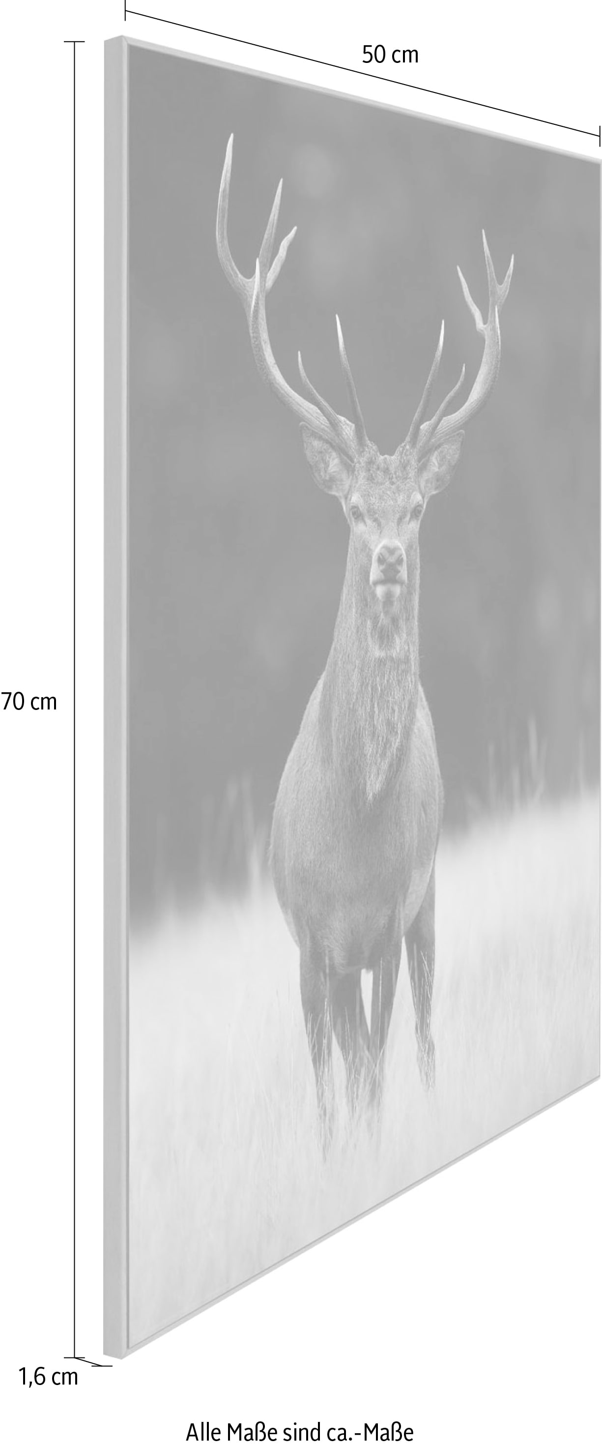 ❤ Reinders! Wandbild »Slim Frame Wood 50x70 Deer« kaufen im Jelmoli-Online  Shop