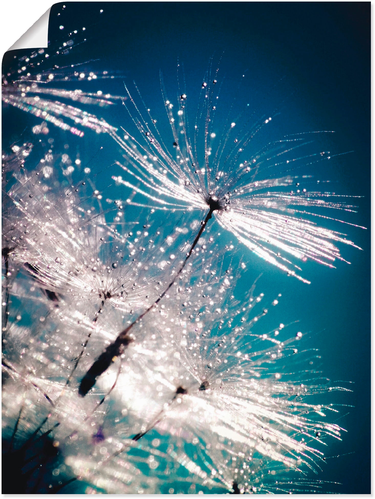 Artland Wandbild »Pusteblume Kristallschirmchen«, Blumen, (1 St.), auf Keilrahmen gespannt