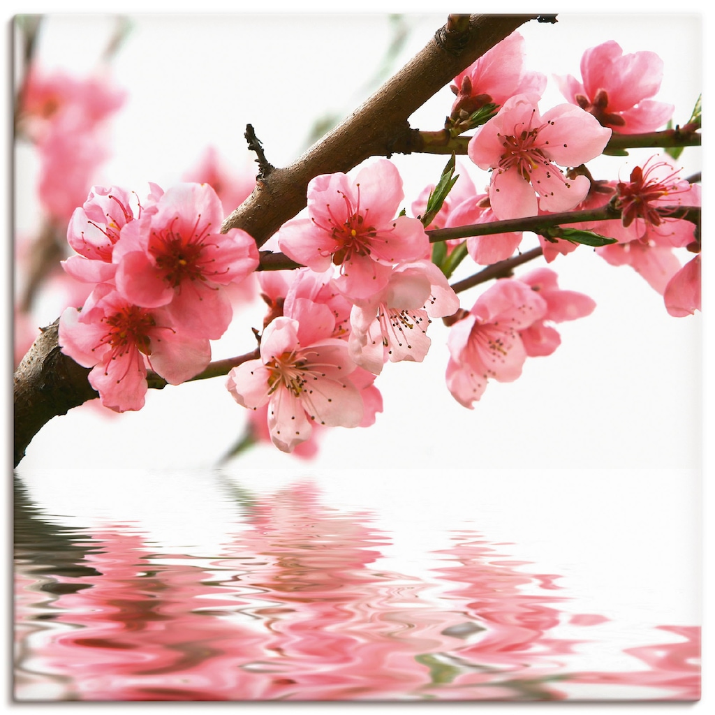 Artland Wandbild »Pfirsichblüten reflektieren im Wasser«, Blumen, (1 St.)