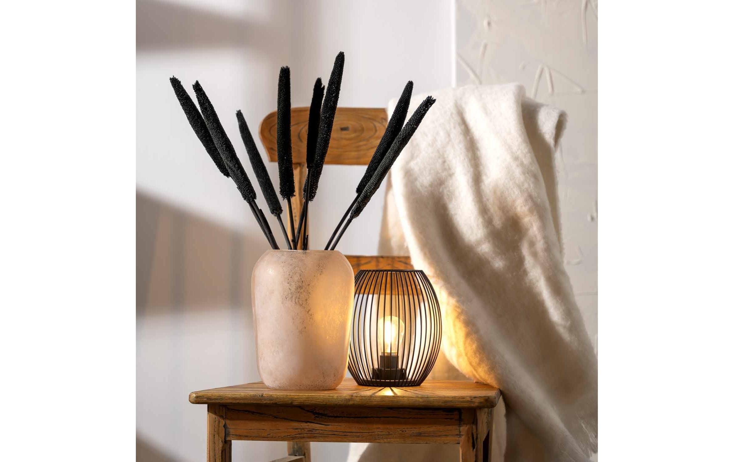 LEONARDO Dekovase »Trogolo 22 cm, Beige«