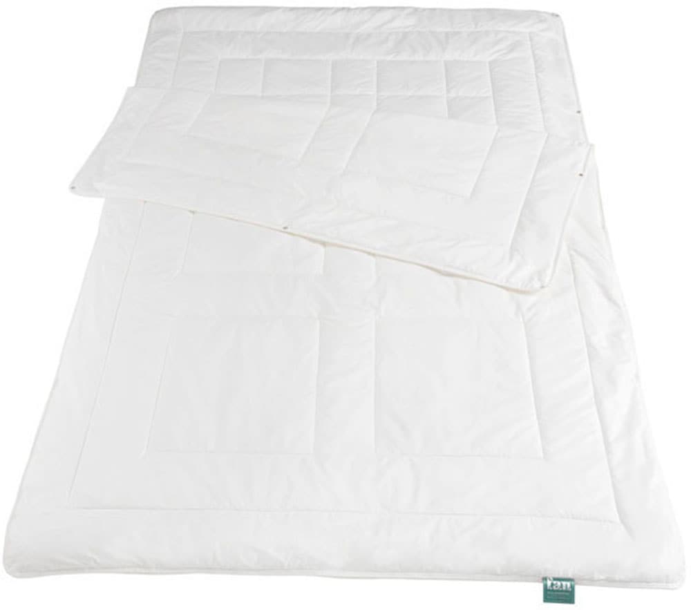 f.a.n. Schlafkomfort Baumwollbettdecke »African Cotton«, 4-Jahreszeiten, (1 St.), Bettdecke in 135x200 oder 155x220 cm, Winter oder Sommer
