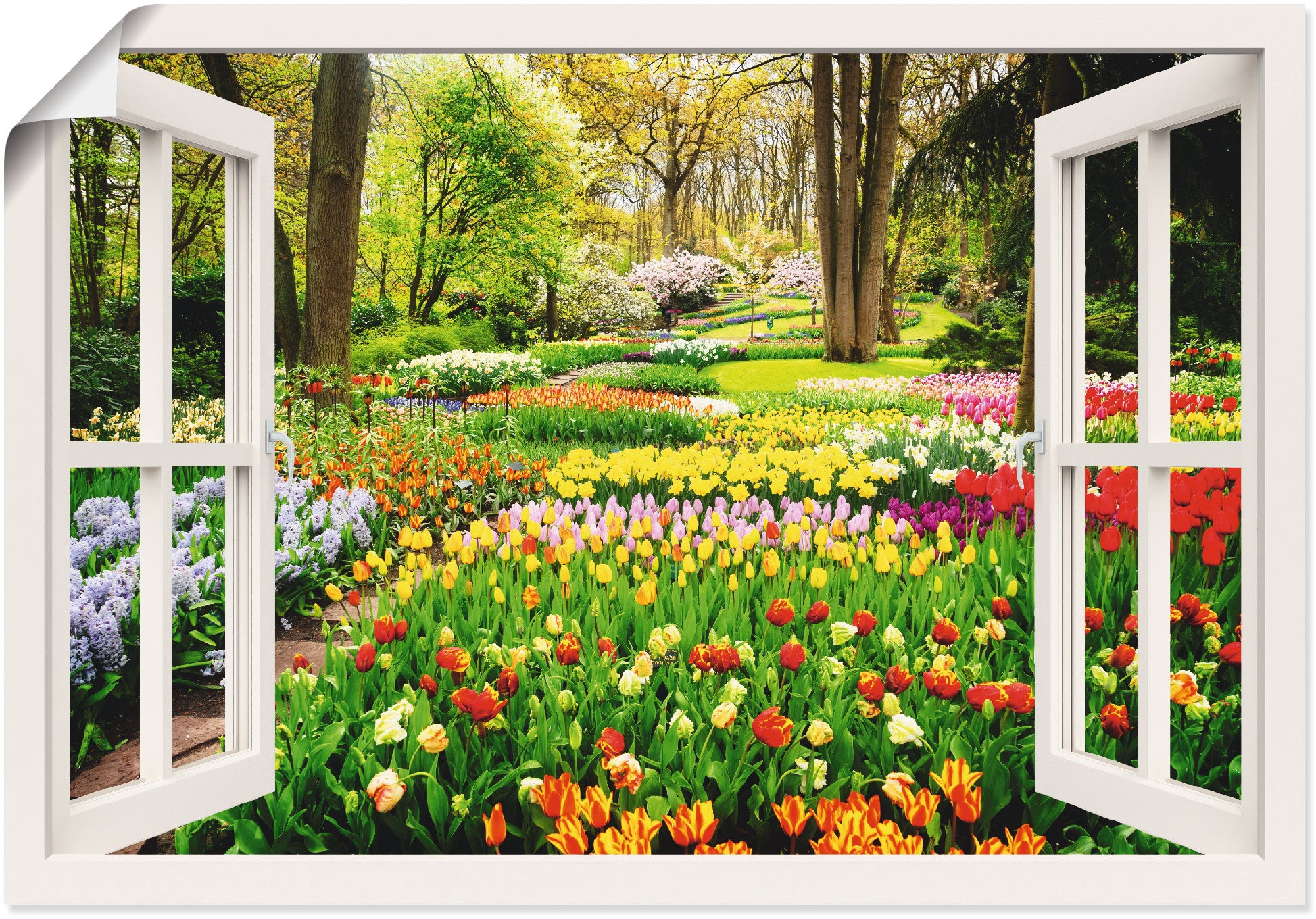 Artland Wandbild »Fensterblick Tulpen Garten Frühling«, Fensterblick, (1 St.), als Alubild, Outdoorbild, Leinwandbild, Poster, Wandaufkleber