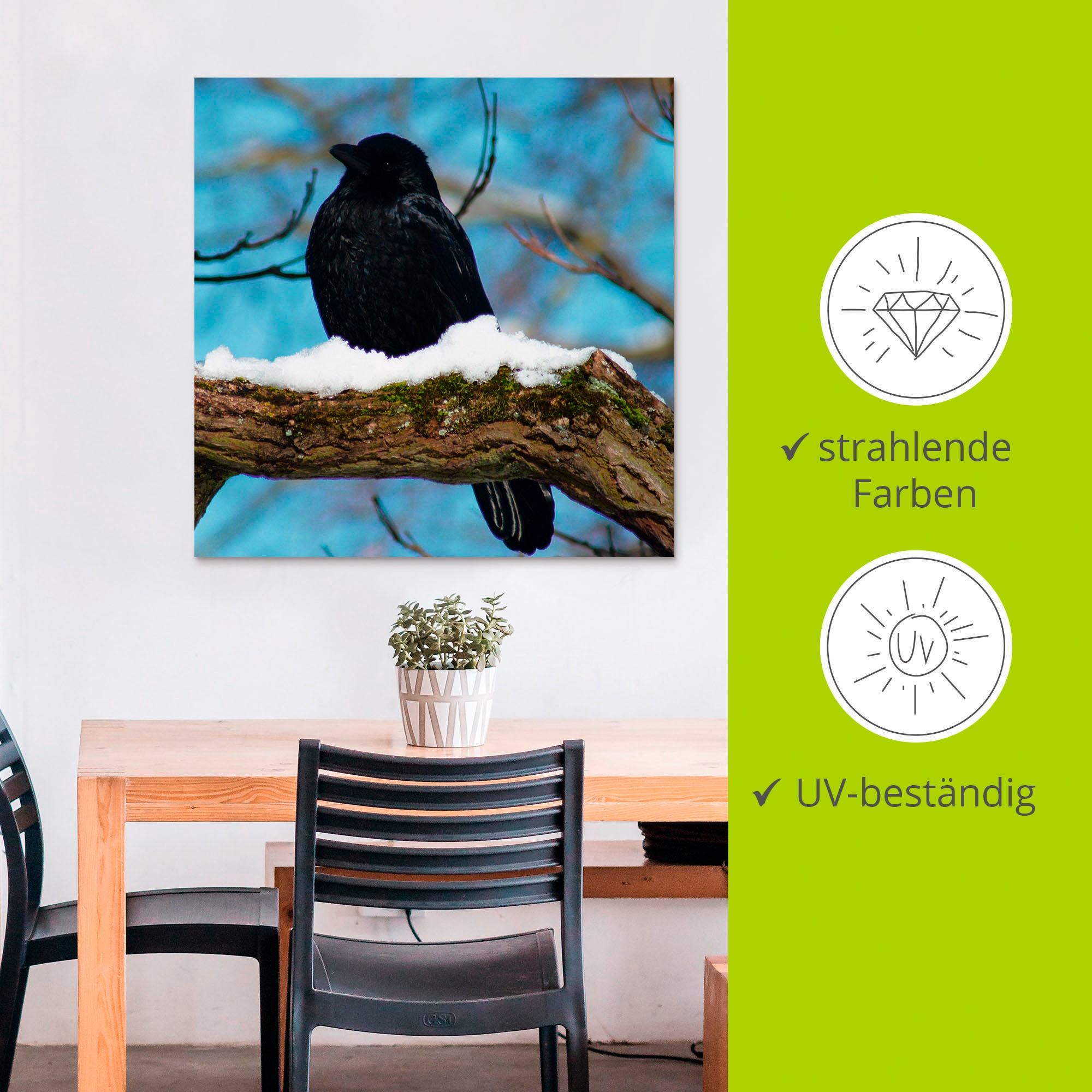 Artland Alu-Dibond-Druck »Rabe im Winter«, Vögel, (1 St.), für Innen- und Aussenbereich geeignet, Outdoorbild