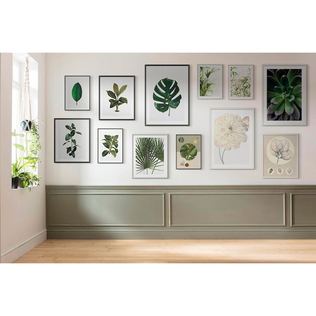 ❤ Komar Poster »Succulent Single«, Pflanzen-Blätter, (1 St.), Kinderzimmer,  Schlafzimmer, Wohnzimmer entdecken im Jelmoli-Online Shop