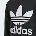 adidas Originals Trainingsanzug »ADICOLOR SET«