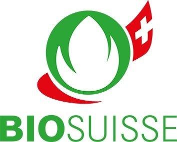 billerbeck Kopfkissen »Hirsekissen Organic«, Füllung: 100% Hirseschalen, selektioniert, aus kontrolliert biologischem Anbau (kbA), Bezug: 100% Baumwolle, aus kontrolliert biologischem Anbau (kbA), GOTS zertifiziert, (1 St.)