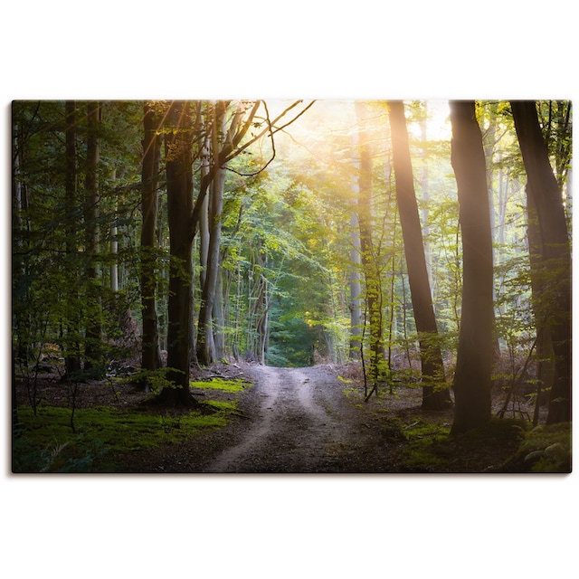 Artland Wandbild »Waldweg im Licht«, Waldbilder, (1 St.), als Alubild,  Leinwandbild, Wandaufkleber oder Poster in versch. Grössen online bestellen  | Jelmoli-Versand
