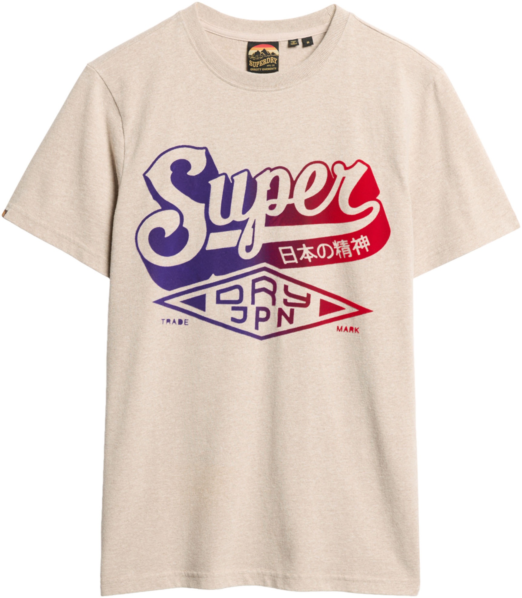 Superdry Rundhalsshirt »FLOCKED FADE GRAPHIC T SHIRT«