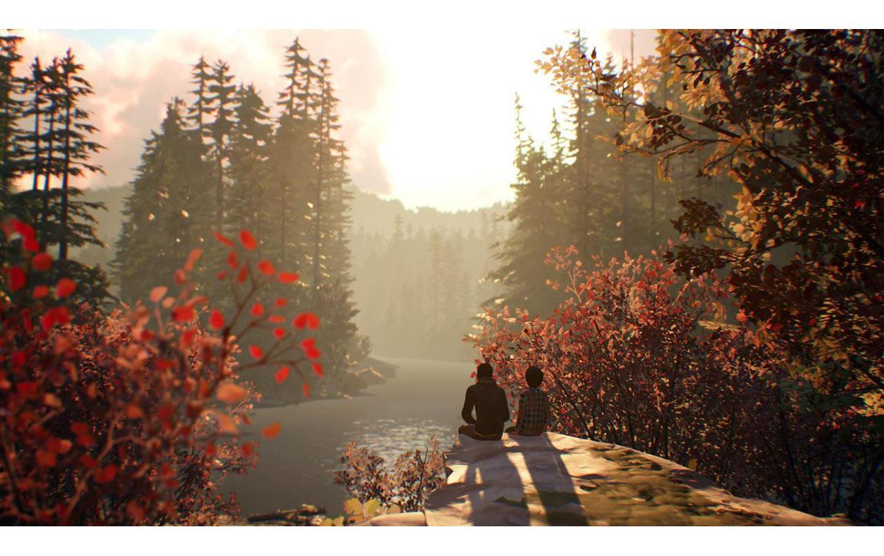 SquareEnix Spielesoftware »Life is Strange 2«, PlayStation 4, Standard Edition