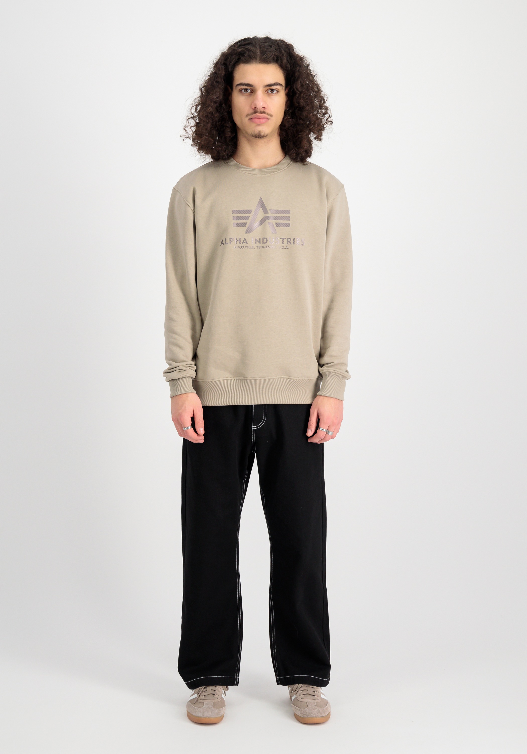 Alpha Industries Sweater »Basic Sweatshirt Carbon«