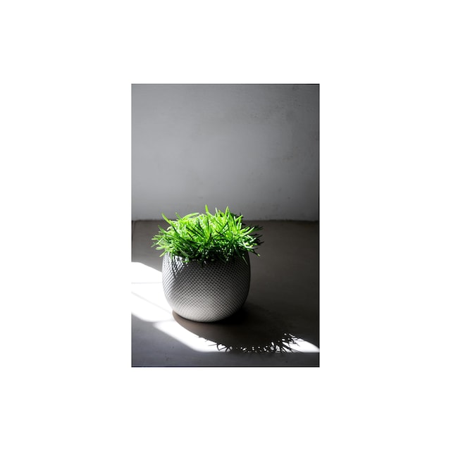 »Herstera Pita | kaufen Keramik Blumentopf Herstera Garden Jelmoli-Versand Blumentopf online Material: Ø 32 Be«, cm