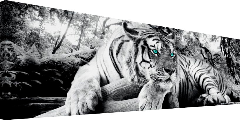 ❤ Wohnzimmer Tiger Jelmoli-Online bestellen Wandbild im - »Tigerblick - Reinders! Raubtier - Shop Wandbild Wandbild« Wandbild