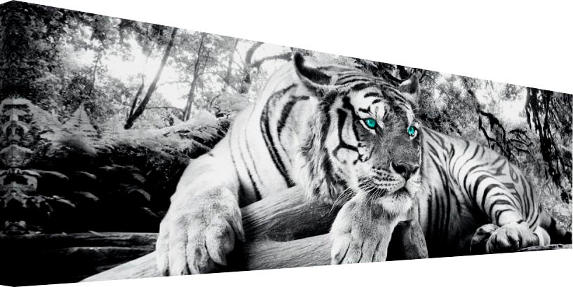 ❤ Reinders! Wandbild »Tigerblick Wandbild Tiger - Raubtier - Wandbild  Wohnzimmer - Wandbild« bestellen im Jelmoli-Online Shop