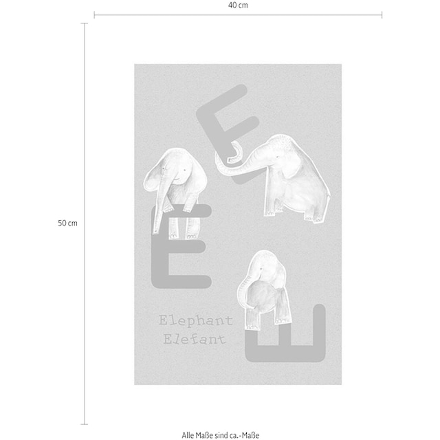 ❤ Komar Poster »ABC Animal E«, Buchstaben, (1 St.), Kinderzimmer,  Schlafzimmer, Wohnzimmer entdecken im Jelmoli-Online Shop