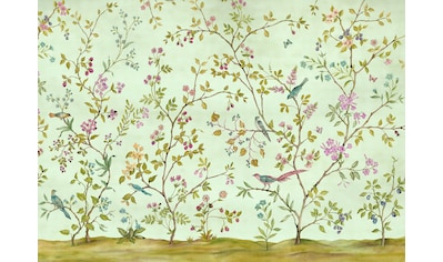 Komar Fototapete »Oiseaux du Paradis«, botanisch-tropisch-Motiv, BxL: 350x250 cm, 150... kaufen