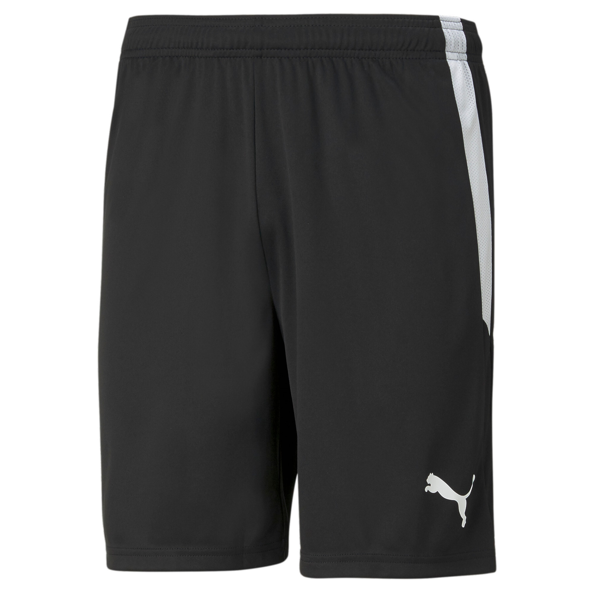 PUMA Trainingsshorts »TEAMLIGA SHORTS« sportlicher Stil mit Kontrasteinsatz und Logo-Detail, für Sport