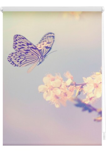 Seitenzugrollo »Klemmfix Motiv Schmetterling«, Lichtschutz, ohne Bohren, freihängend