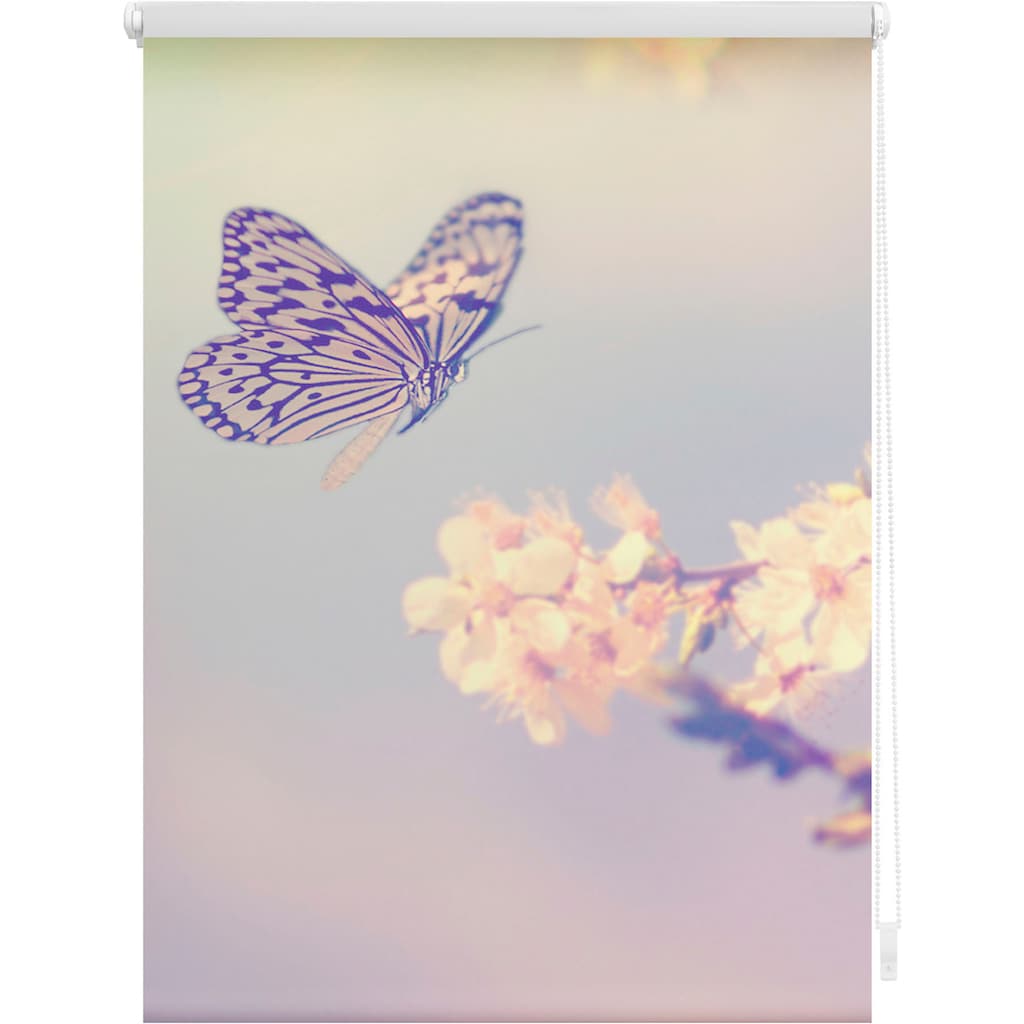 LICHTBLICK ORIGINAL Seitenzugrollo »Klemmfix Motiv Schmetterling«, Lichtschutz, ohne Bohren, freihängend