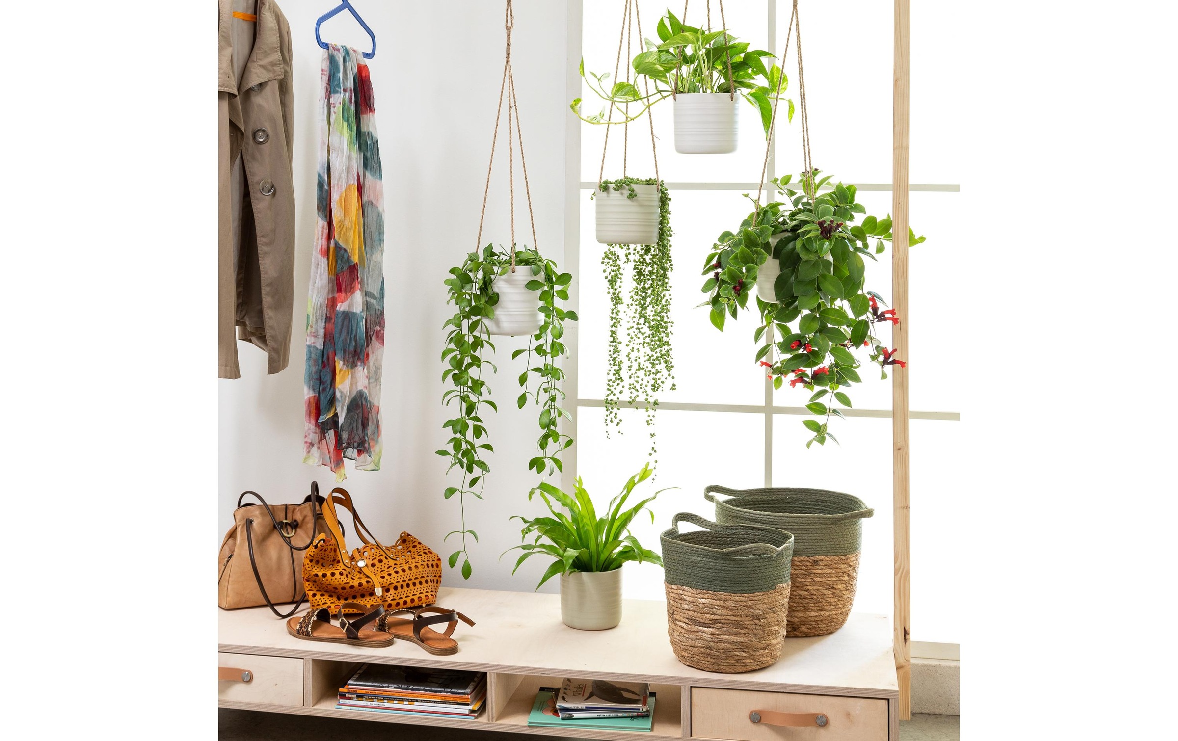 Scheurich Blumenampel »Cottage 16.6 cm«