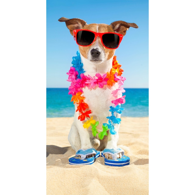 ✵ good morning Strandtuch »Buddy«, (1 St.), mit Hund & Sonnenbrille online  entdecken | Jelmoli-Versand