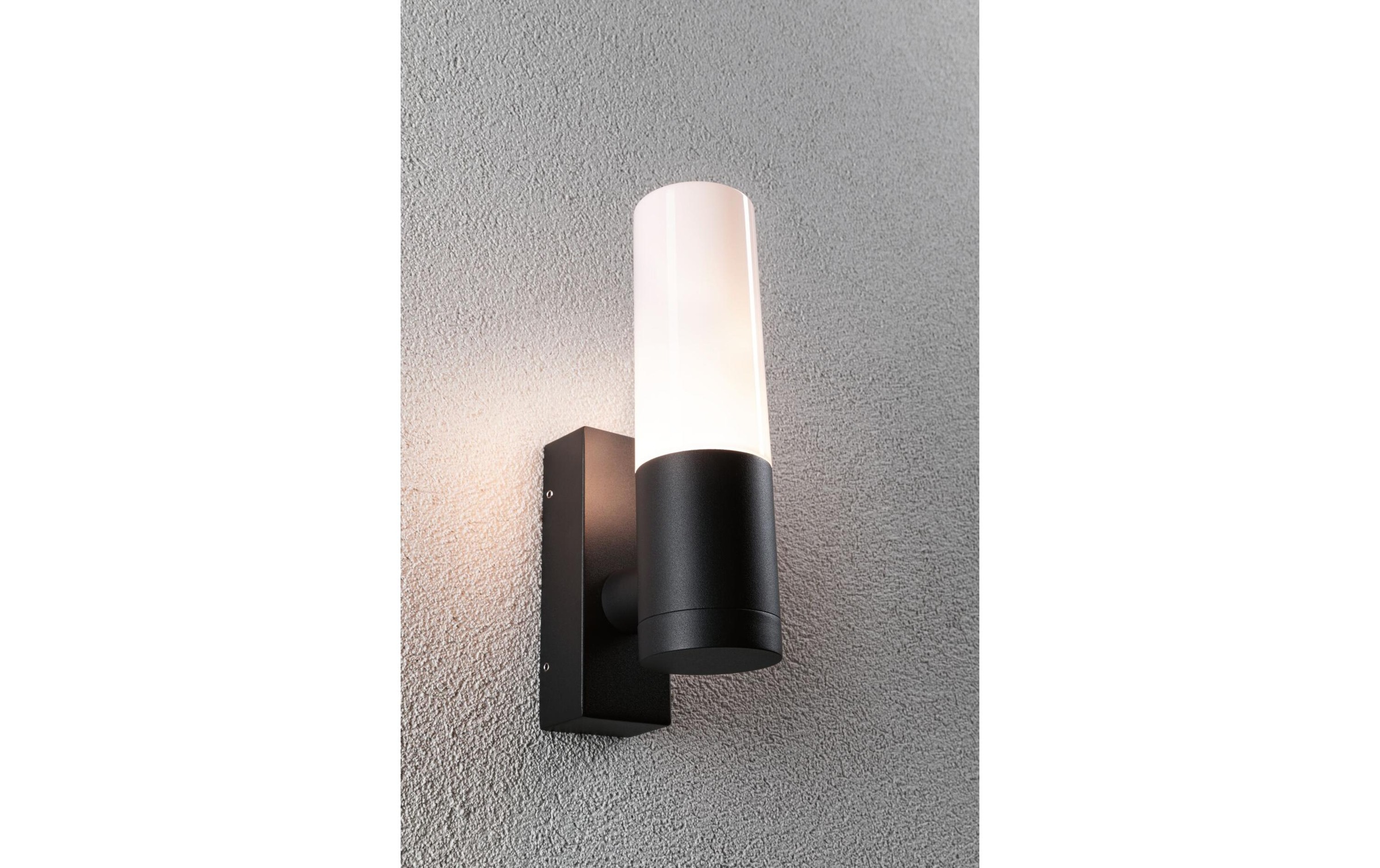 Paulmann LED Wandleuchte »Tralia E27 10«