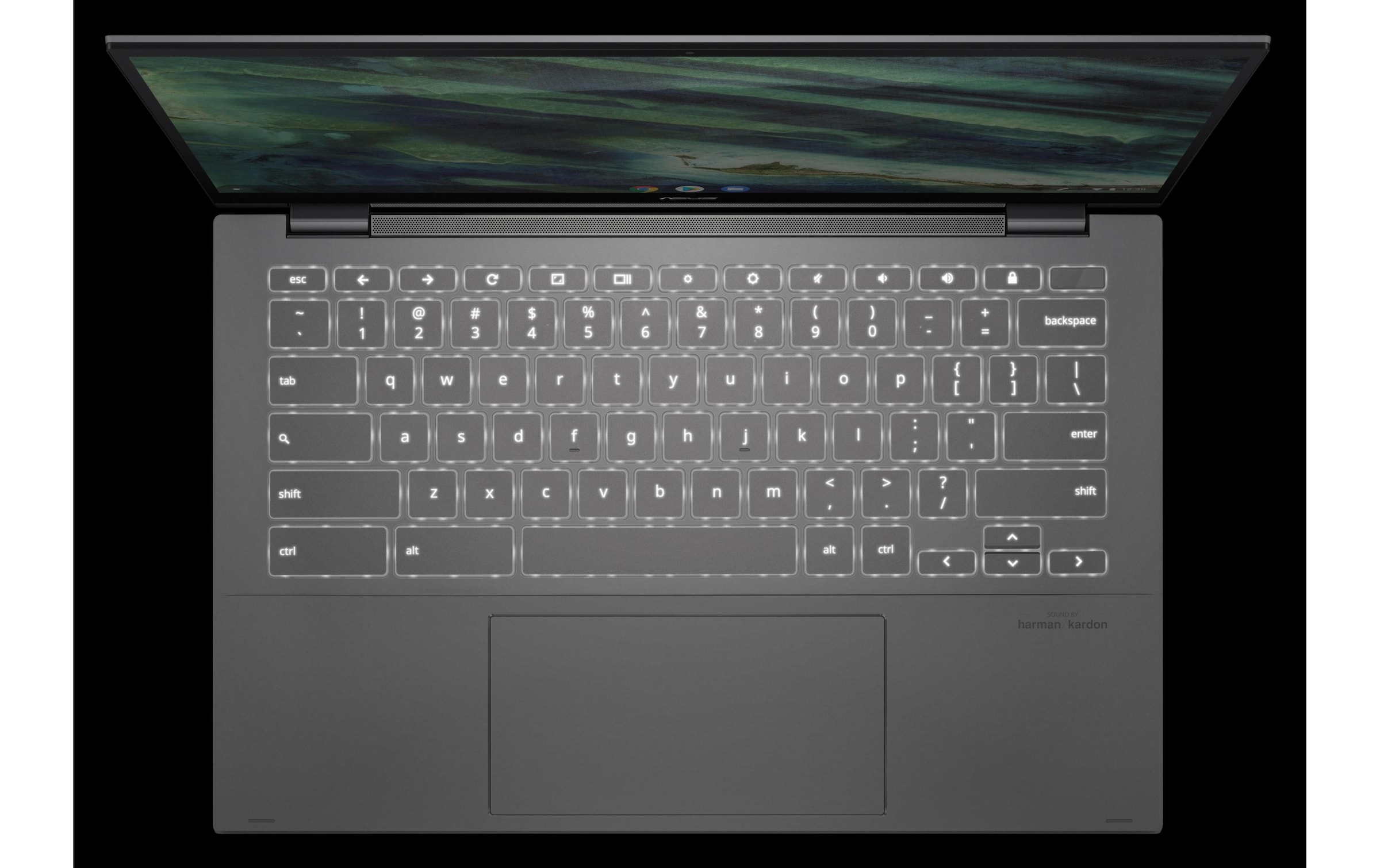 Asus Chromebook »Flip C436FA-E10221«, / 14 Zoll