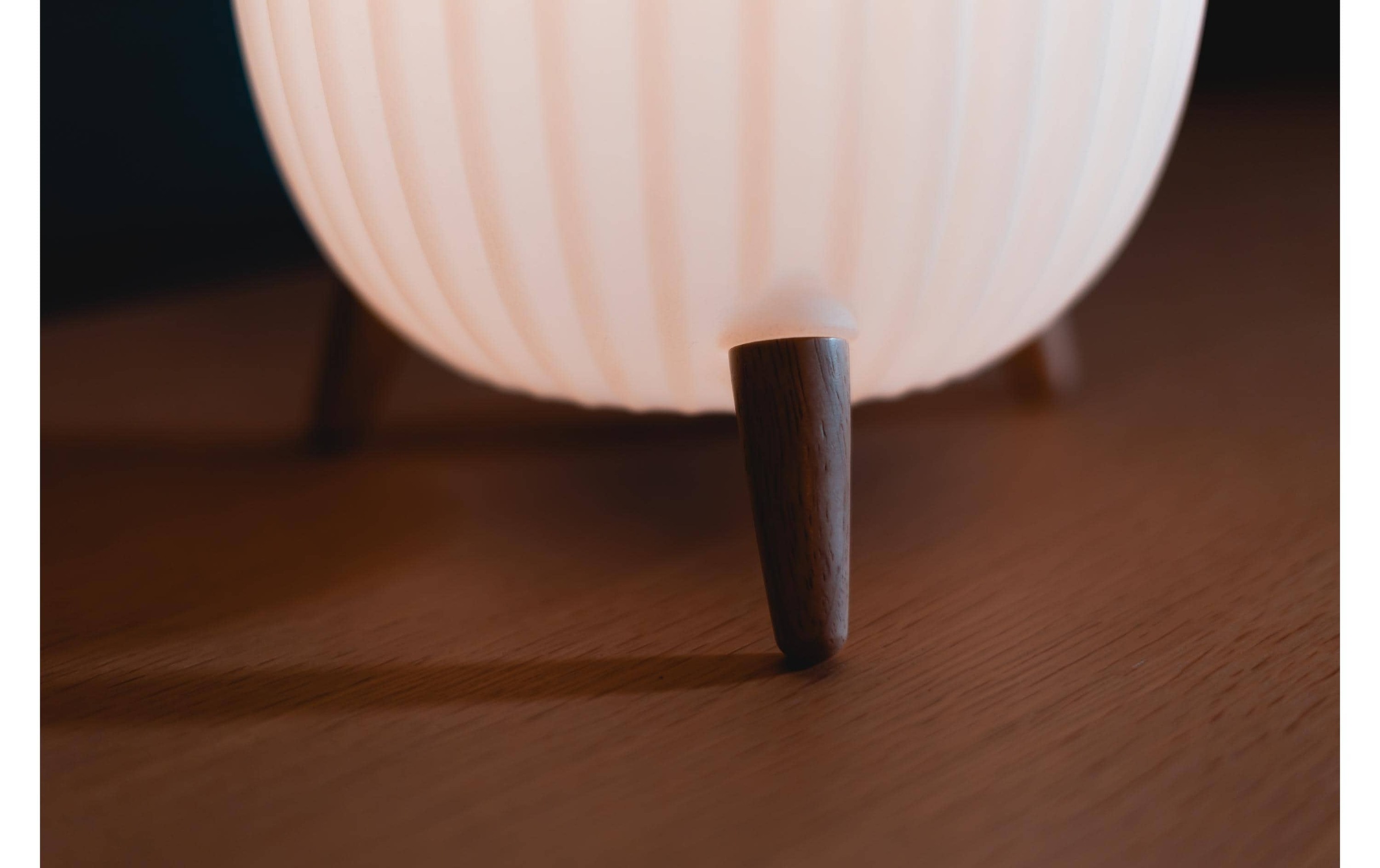 LED Laterne »ezilight Ambiant M,«