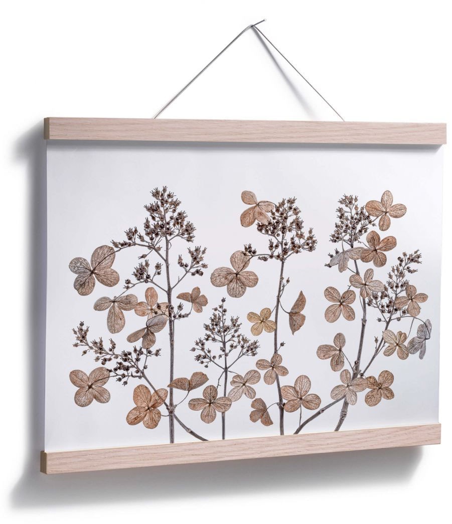 Wall-Art Blumen«, | online Jelmoli-Versand »Getrocknete St.) (1 Poster bestellen Blumen,