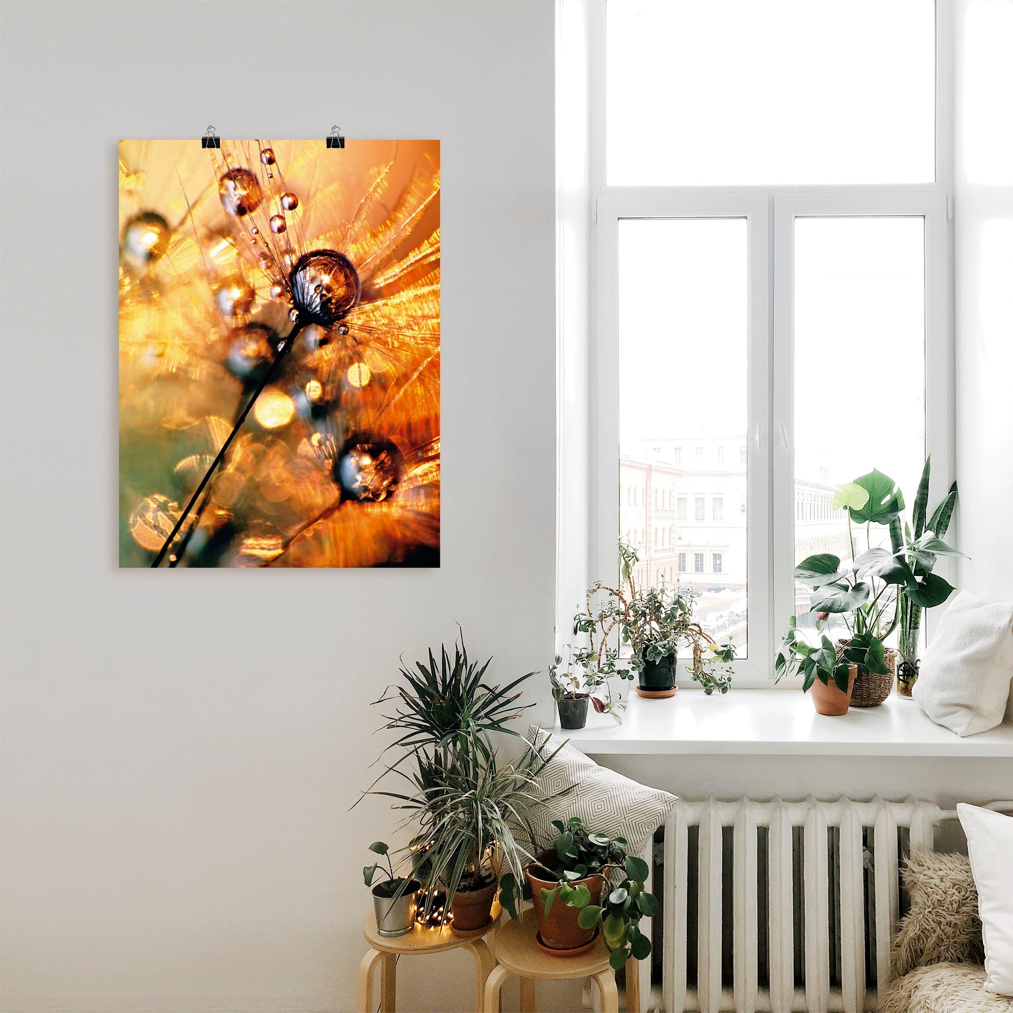 Artland Wandbild »Pusteblume Energy«, Blumen, (1 St.), als Leinwandbild,  Poster in verschied. Grössen online bestellen | Jelmoli-Versand