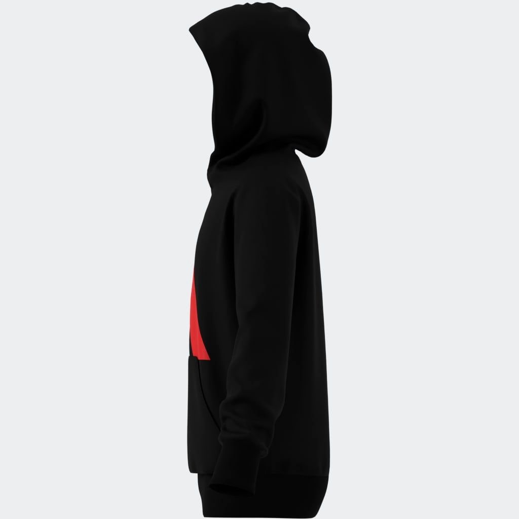 adidas Sportswear Kapuzensweatshirt »J BL FT HD 280«