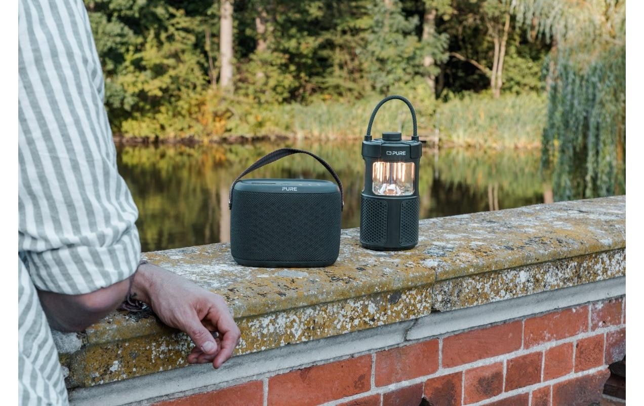 Pure Radio »Woodland Glow«, (Bluetooth)