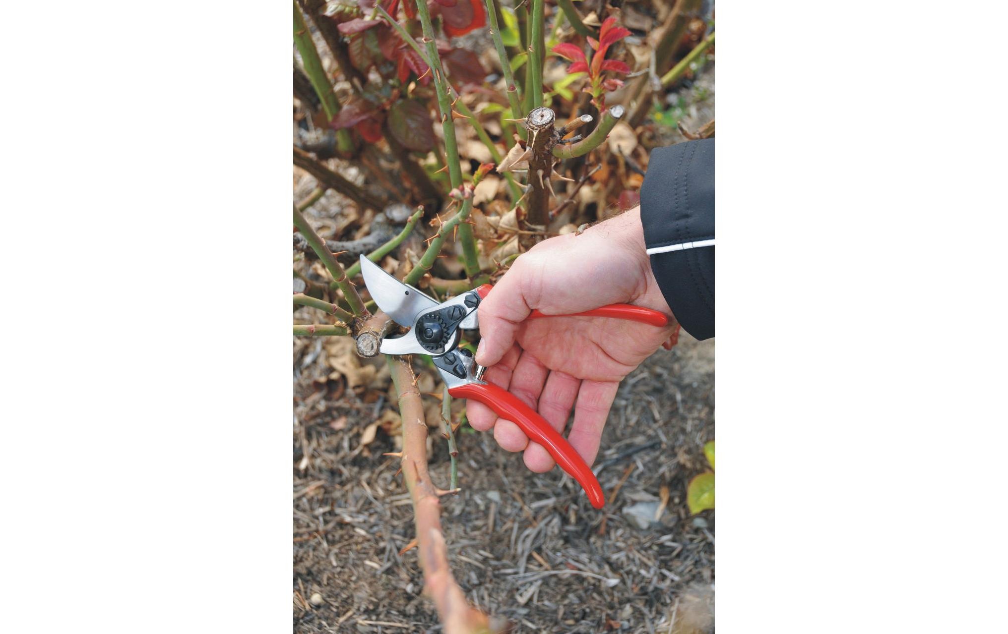 Gartenschere »Felco 11«