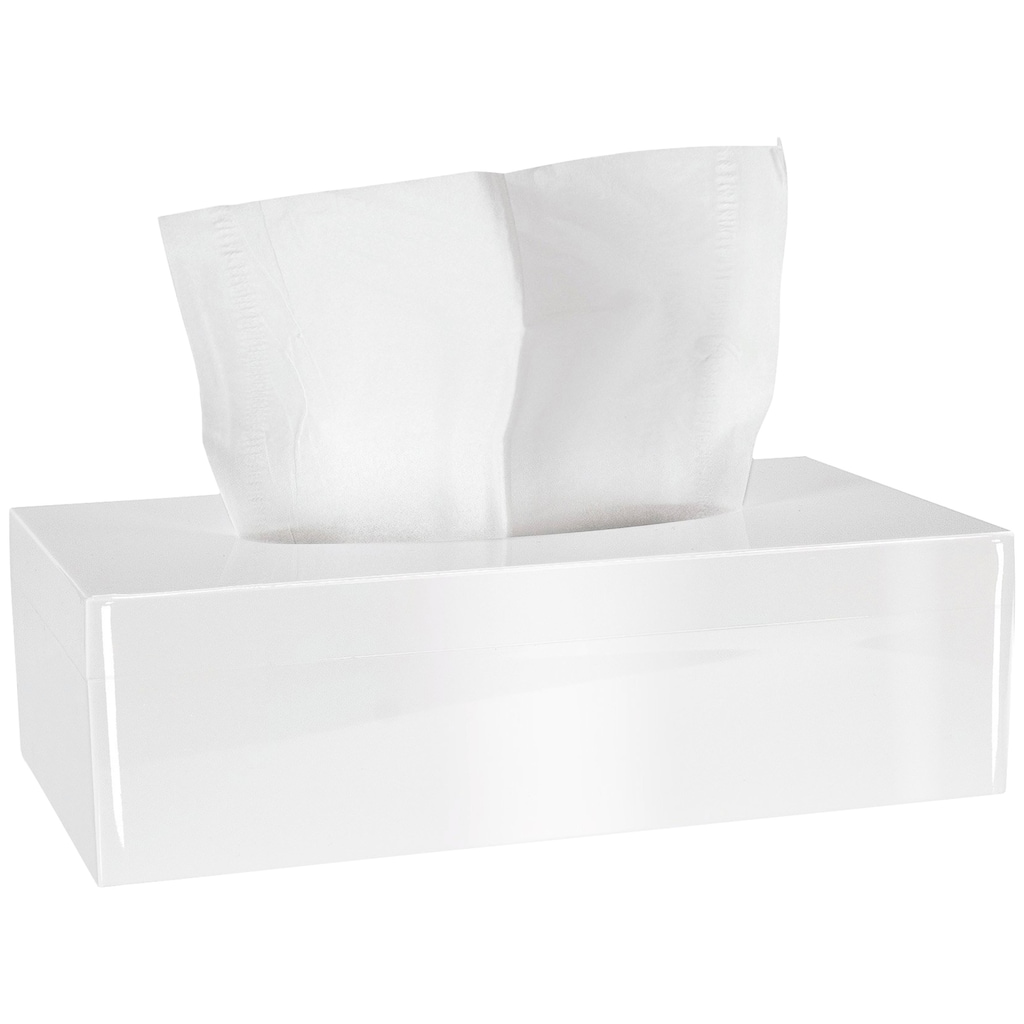 Kleine Wolke Papiertuchbox »Tissue Box«, Ästhetische Taschentuchbox