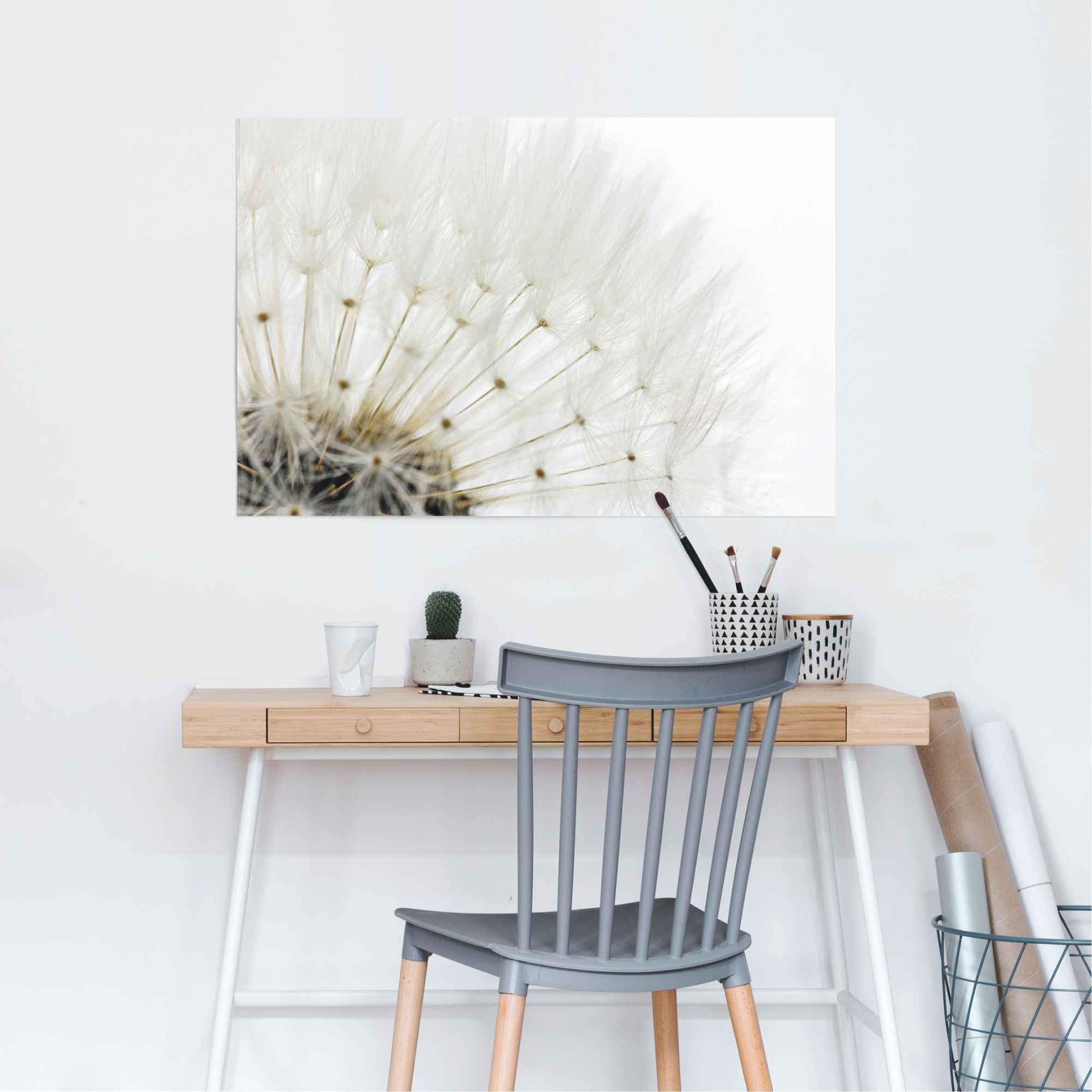 Reinders! Poster »Pusteblume Weiss«, (1 St.)