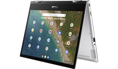 Asus Chromebook »Flip CM3200FM1A-HW0«, (30,36 cm/12 Zoll), MediaTek kaufen