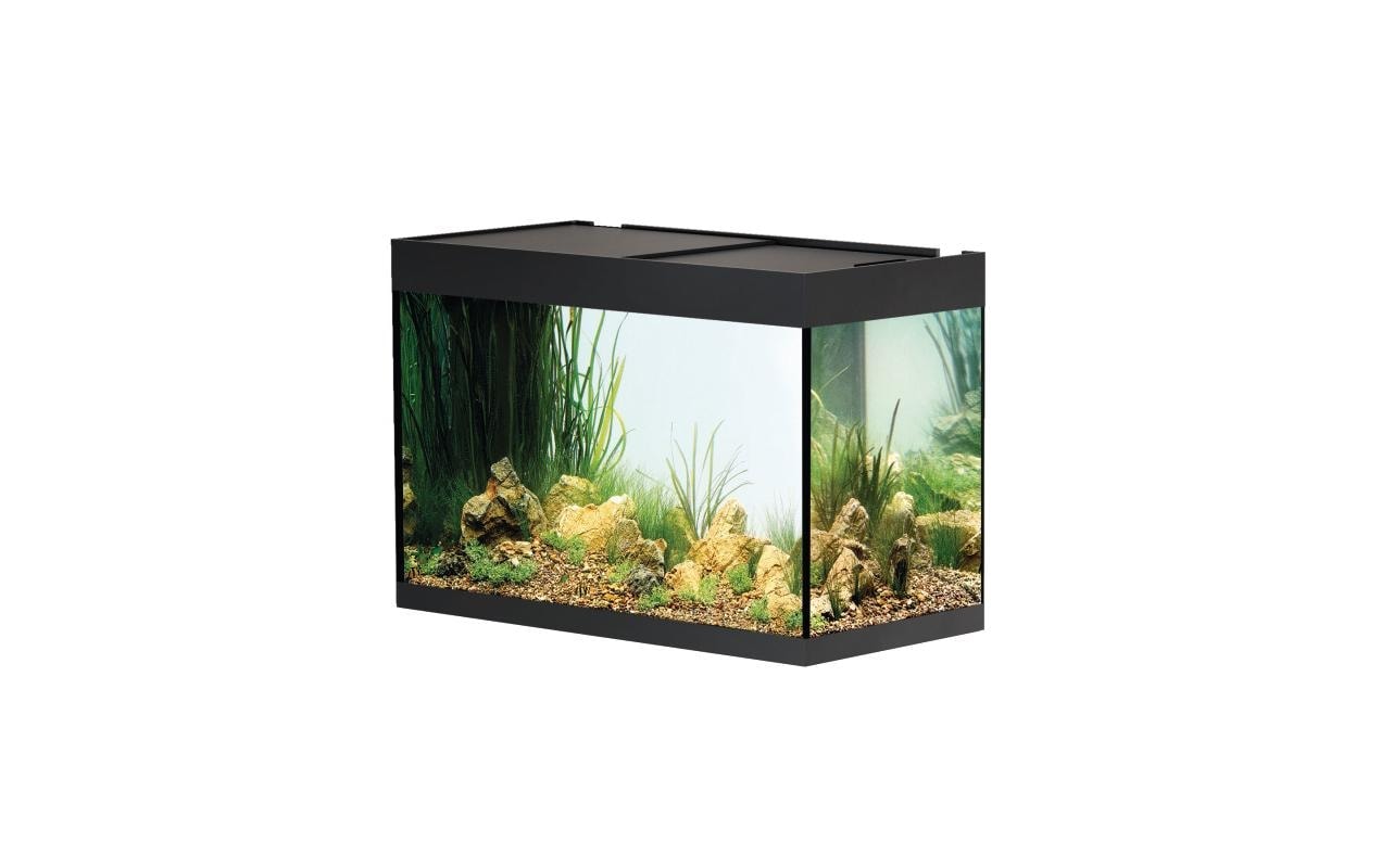 Aquarium »StyleLine 175 160 l«