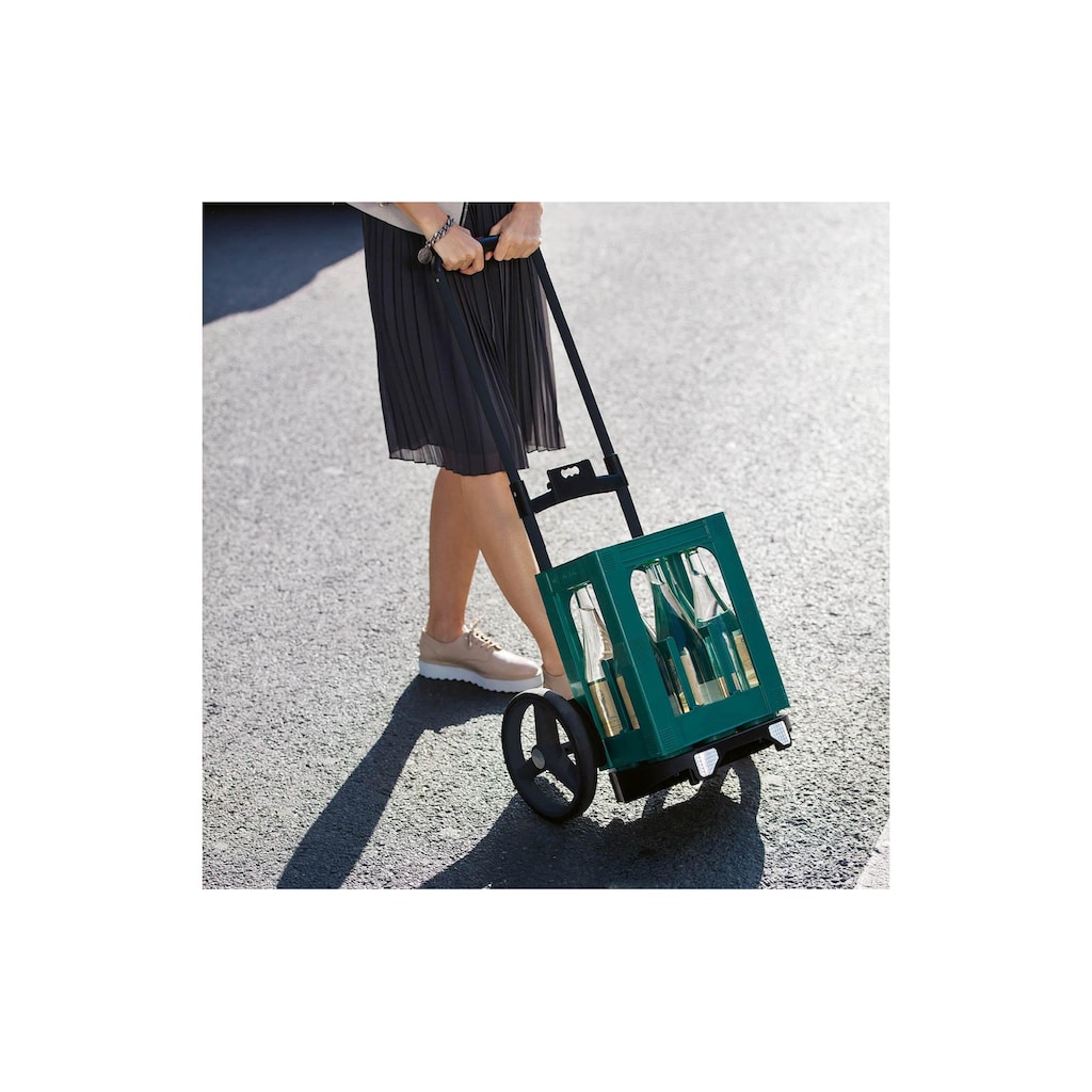 REISENTHEL® Einkaufstrolley »Citycruiser Rack«