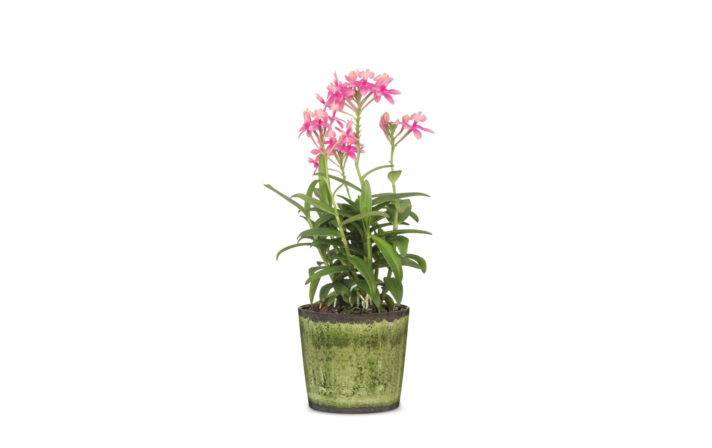 Scheurich Blumentopf »Meadow Glaze«