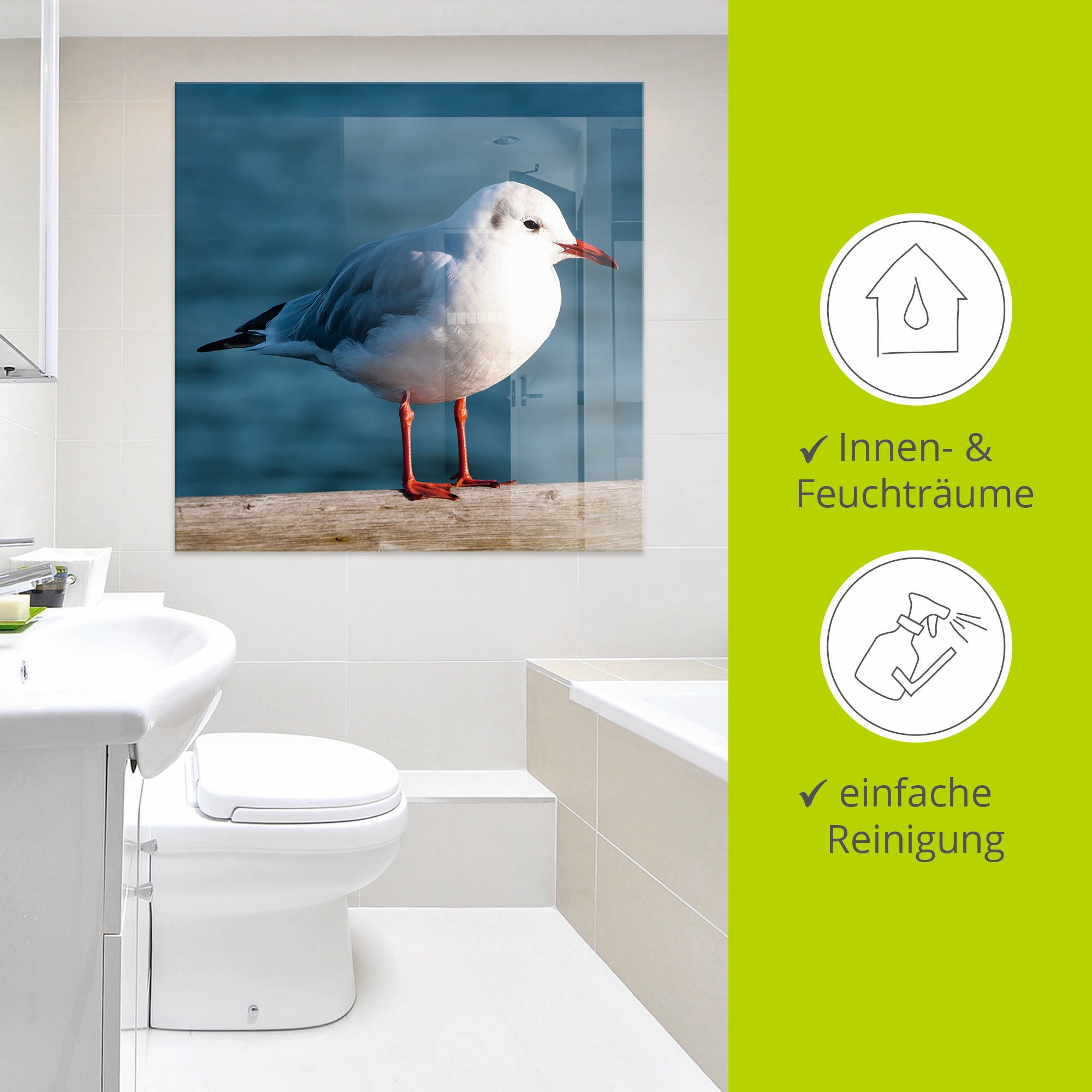 Artland Glasbild »Möwe«, Vögel, (1 St.), in verschiedenen Grössen
