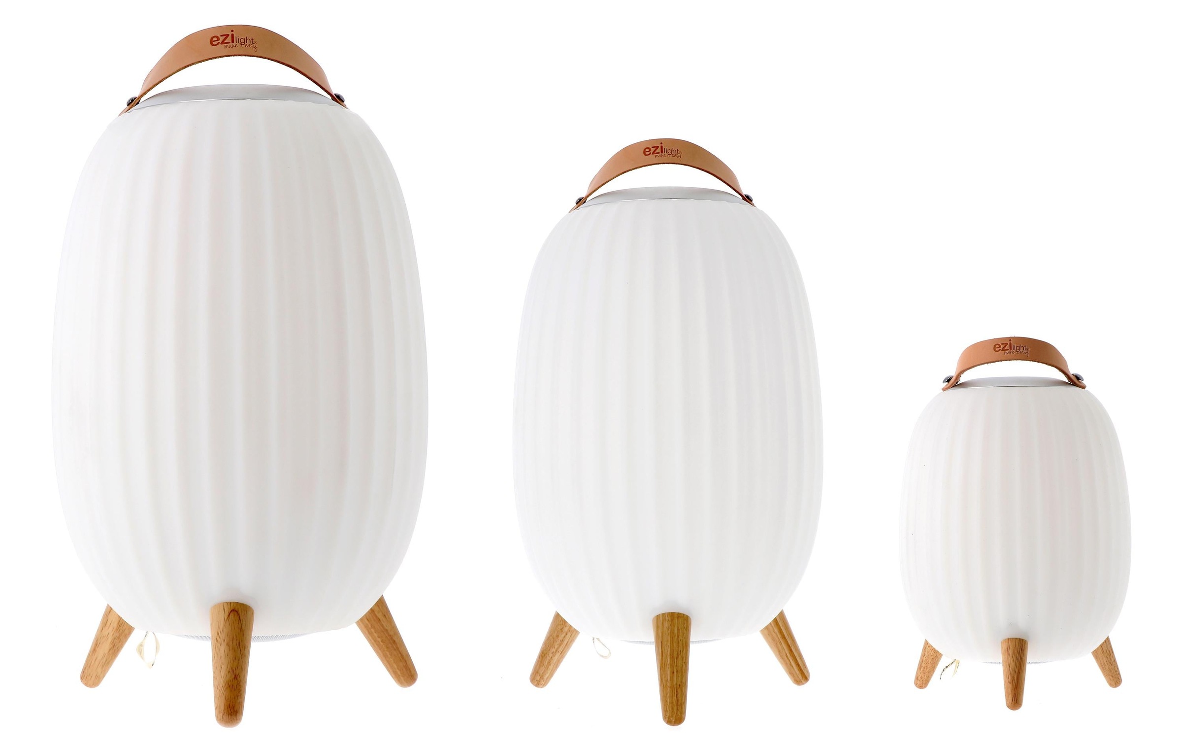 LED Laterne »ezilight Ambiant M,«