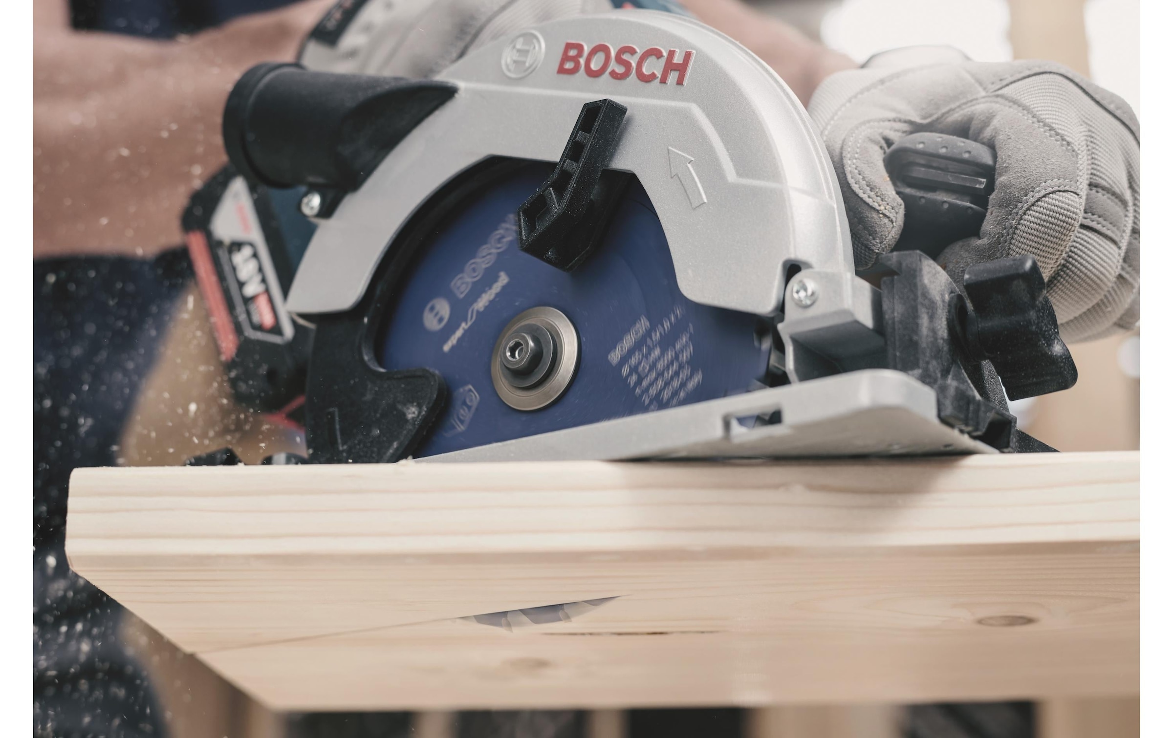 Bosch Professional Kreissägeblatt »Expert«, (1 St.)
