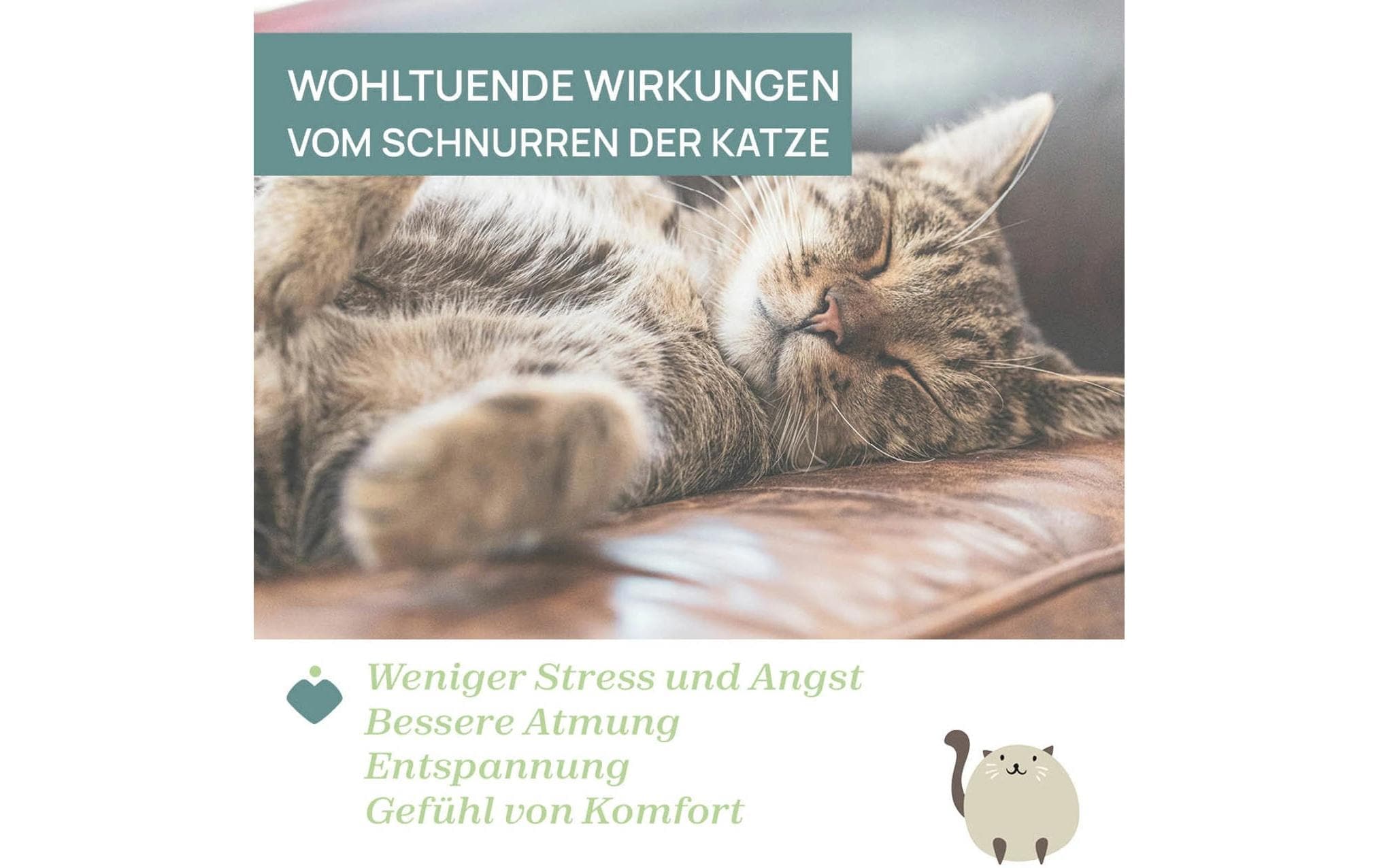 Chicco Spieluhr »Schnurrende Katze«